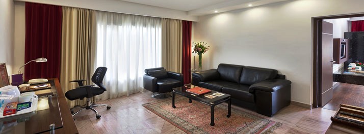 628/Park Regis - Jaipur 13.jpg